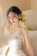 质查询拜访、矿产开辟等做为纳贿的东西